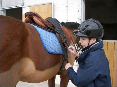 Que faut-il vérifier pour s'assurer que son cheval ou poney est bien sellé ?