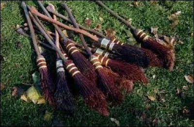 Maintenant, imagine que tu es joueur de quidditch professionnel et que tu t'apprêtes à acheter ton nouveau balai. Lequel achètes-tu ?