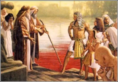 Quel embrouilleur ce prophète, faire croire que le Nil se change en sang, alors qu'il s'agit d'une décomposition de roches volcaniques et métamorphiques comportant un important taux d'alumine expliquant la couleur rouge sang du fleuve lors de la crue. Qui est-il ?