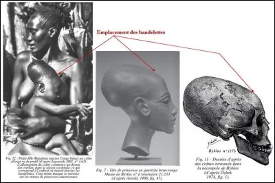Quel pharaon hérétique lança la mode des "têtes d'oeuf" ?