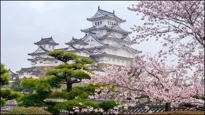 Cette ville japonaise de 500 000 habitants, située à l'ouest d'Osaka en bordure de la mer intérieure, célèbre pour son château du XIVe siècle, le plus visité au Japon, c'est ...