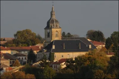 Rarécourt se situe dans la/les ...