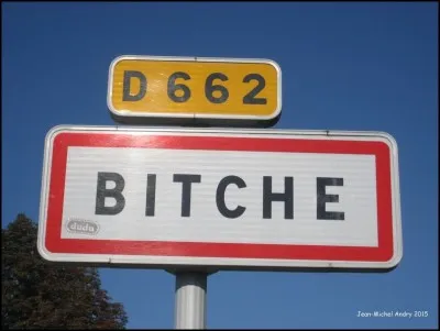 Le village de Bitche est ...