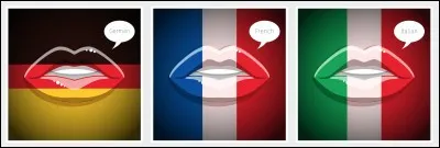 "Die katze graffiato sein meister". Et dans cette phrase ? Quelles langues distinguez-vous ?