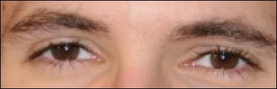 Qui est cet acteur qui a joué dans "Plaire, aimer et courir vite" ?