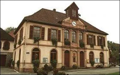 Village du Grand-Est, dans le parc naturel régional des Ballons des Vosges, Luttenbach-près-Munster se situe dans le département ...