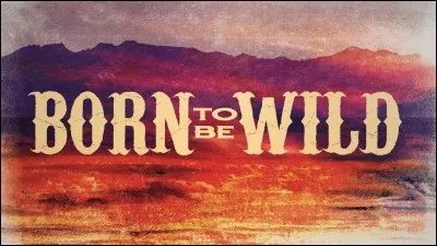 Quel groupe a composé "Born to Be Wild" ?