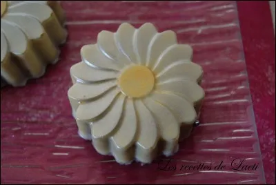 Ce chocolat a l'air délicieux ! Serait-___ une ______ ?