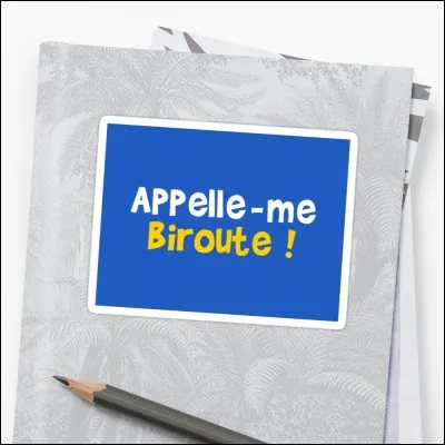 Qu'est-ce que le WIBR ?