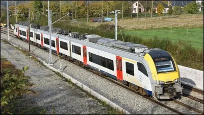 Que peut présenter un VOORSEIN ?