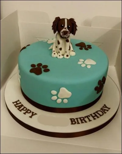 L'heure est venue d'offrir un petit cadeau. Comme nous voulons que Lotoise fasse un peu de sport afin de conserver sa forme, nous lui avons choisi un chiot qui deviendra un chien de chasse !