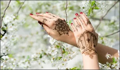 Quel est le nom commun de la plante principalement cultivée au Maroc et appelée scientifiquement "lawsonia" ?