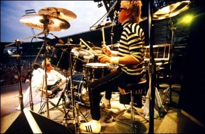 Roger Taylor est connu pour être le batteur de Queen, et il était aussi le chanteur du groupe The Crows.