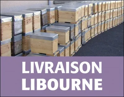 Nous pouvons également trouver le cacibel. De quoi s'agit-il ?