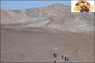 Recherche spatiale !
Les scientifiques de la NASA s'intéressent énormément à l'étude de la planète Mars. Ils cherchent à y envoyer un ou plusieurs hommes lui rendre visite. Pour cela, ils ont concocté une expérience dans un désert péruvien, qui sera très utile voire absolument nécessaire aux astronautes !
Qu'ont-ils réussi à faire ?