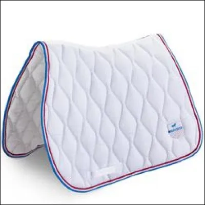 Quel est cet objet blanc ?