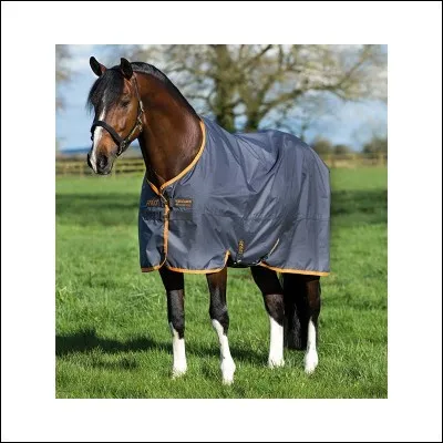 Quel est l'objet qui recouvre le cheval ?