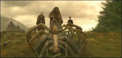Comment Aragog est-il mort ?