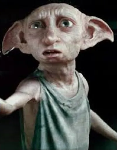 Quelle punition Dobby se donne-t-il pour avoir désobéi à ses maîtres en allant chez les Dursley ?