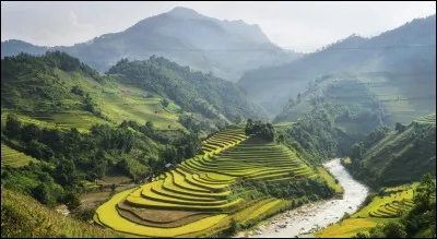 Quels sont les pays voisins du Vietnam ?