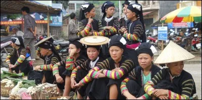 Combien y a-t-il d'ethnies minoritaires au Vietnam ?