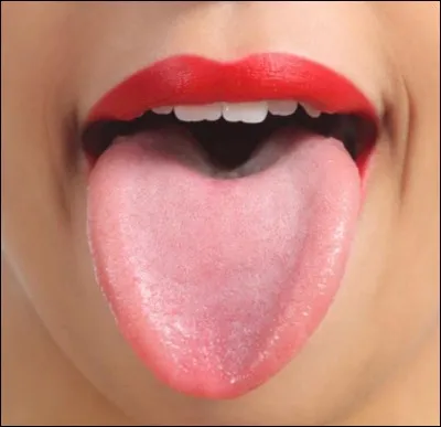 Quelle est la langue la plus parl&eacute;e ?