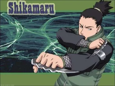 Qui fait la voix de Nara Shikamaru ?