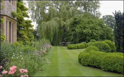 Quelle fleur ne doit ni être reçue en cadeau, ni être même vue par un comédien avant qu'il n'entre sur scène, sous peine de lui porter malheur...