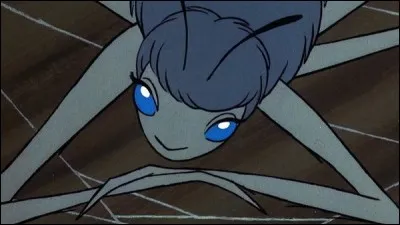 Si vous êtes superstitieux, en Finlande, vous éviterez de tuer une ou plusieurs araignées. Pourquoi ?