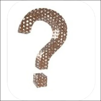 Comment voyez-vous vos enfants dans le futur ?