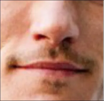 Qui est cet acteur qui a joué dans "My Wonder Women" ?