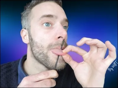 Oiseau passereau d'Australie, de la taille d'un faisan !