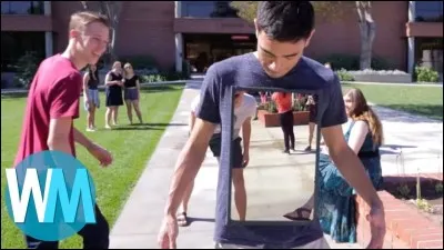 C'est une espèce de bécasseau limicole !