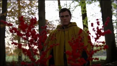 Année : 2004
Genre : Fantastique 
Acteurs : Bryce Dallas Howard, Joaquin Phoenix
Indices : Rouge/Créatures/Communauté/Déguisement. 
Quel est ce film ?