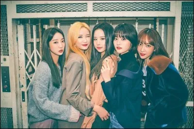 Quel est le terme qui te représente le plus ?