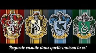 Dans quelle maison a été envoyée Cho Chang ?