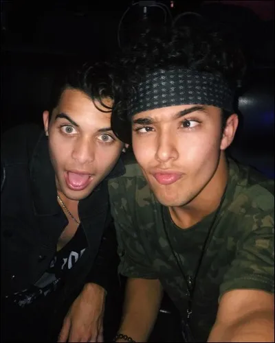 Quel est le sport préféré d'Erick et Joel ?