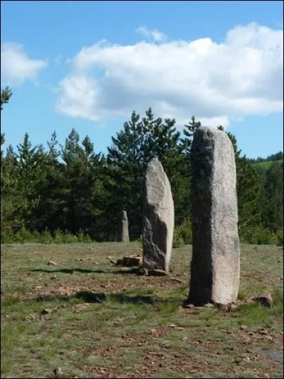 Quel est le nom du deuxième site d'Europe d'alignements de monuments mégalithiques situé en Lozère ?