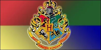 Dans ''Harry Potter'', tu préfères...