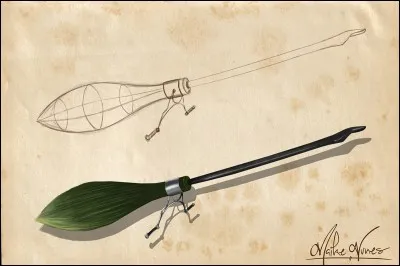 Quel est le meilleur balai volant du monde ?