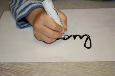 Qui est un écrivain du XIXe siècle ?