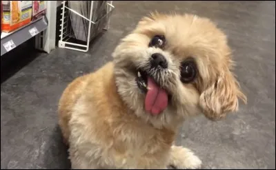 Marrante cette peluche !