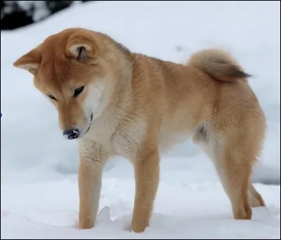 Quel est votre caractère ?