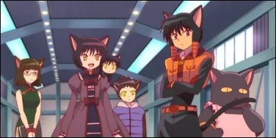 Ces chats noirs appartiennent à l'anime "Rinne".