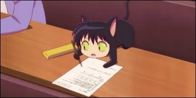 Comment se nomme le chat noir qui accompagne Rinne dans ses missions ?