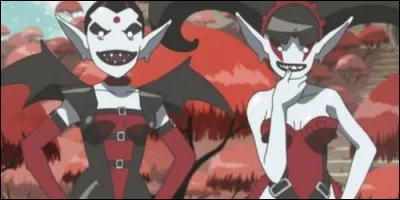 Quel est le star-racer de Ning et Skun ?