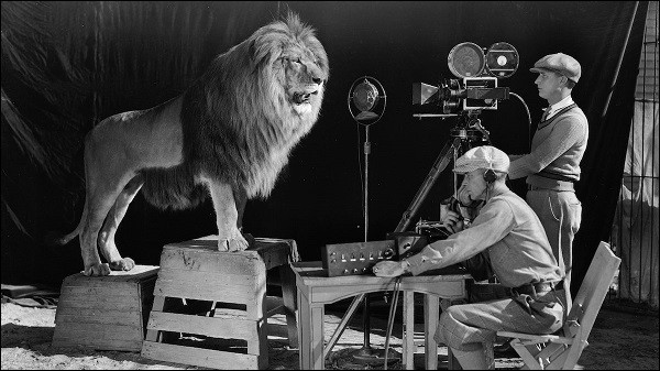 On peut retrouver un lion sur le logo d'une grande société de production et de distribution pour le cinéma et la télévision. Laquelle ?