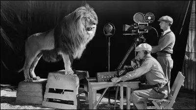 On peut retrouver un lion sur le logo d'une grande société de production et de distribution pour le cinéma et la télévision. Laquelle ?
