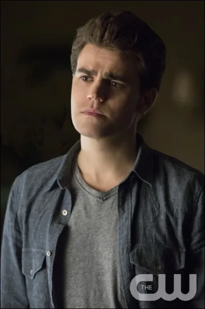 Qui, Stefan a-t-il vu près de sa voiture, au moment où il meurt, dans le dernier épisode de la saison 8 ?