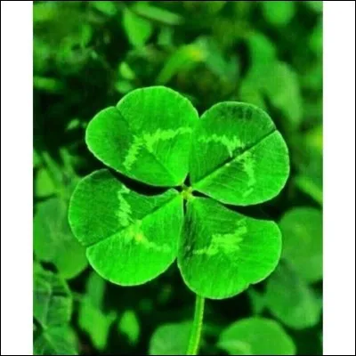 Quel est ton chiffre porte-bonheur ?